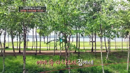 남양주 수레국화밭 속에서 만난 국민 악녀(?) 배우 이유리와 함께 떠나는 여행✿