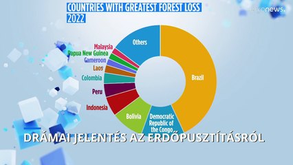 Öt másodpercenként tűnik el egy futballpálya méretű erdő a világon