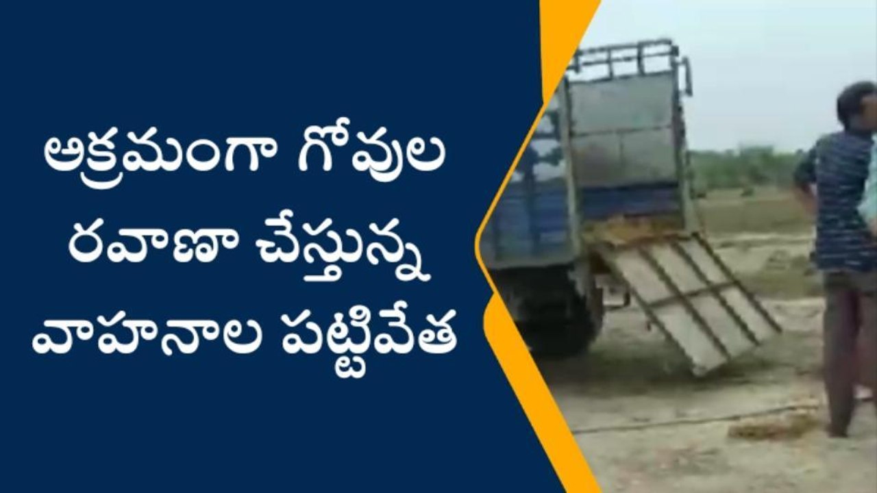 నందిగామ: అక్రమంగా గోవుల రవాణా చేస్తున్న వాహనాలు...