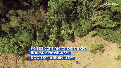 Brasil é o país que perdeu maior área de floresta
