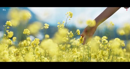 Pasoori Nu || SatyaPrem Ki Katha || Kartik_ Kiara || Arijit || Rochak || Ali| Tulsi! | Gurpreet || Sajid N|| Sameer