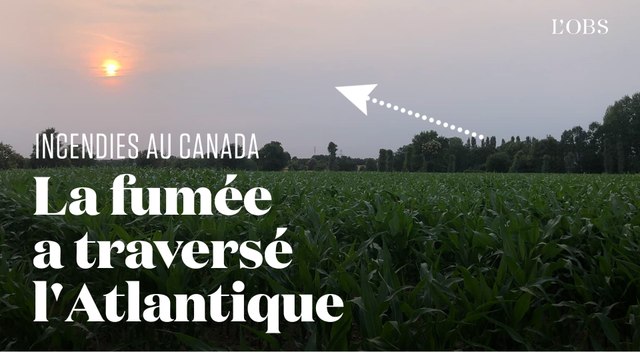 La fumée des incendies au Canada a atteint l'Europe