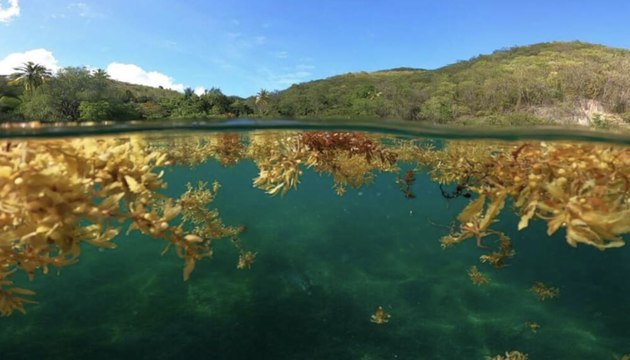 L'Oeil du climat : le concours photo sur “Le changement climatique en France” organisé par Météo France et GEO
