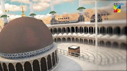 Tawaaf Ki Fazeelat! ✨❤#Hajj #HajjMubarak #HUMTV #Zilhajj Labaik Allahumma Labbaik