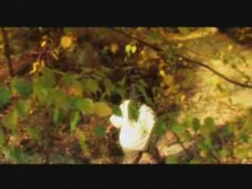 Mother Africa_v.definitive