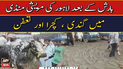 Worst situation in Lahore cattle market after rain