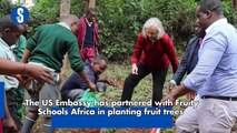 The US Embassy has partnered with Fruity Schools Africa in planting fruit trees in Kiambaa