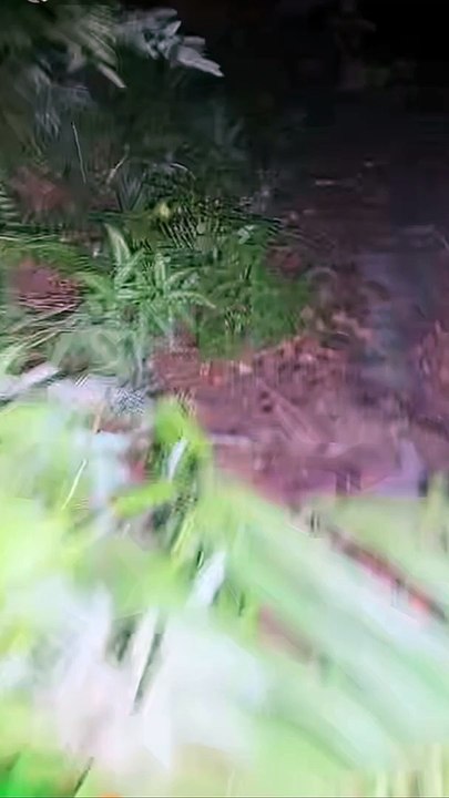 Paranormal activity ghost on camera part 152