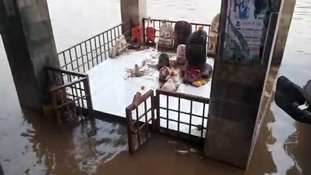 मानसून की पहली बारिश से महाकोशल के जिले तरबतर, नर्मदा का जलस्तर भी बढ़ा, देखें वीडियो