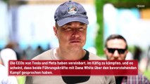 UFC-Präsident sagt, der Käfigkampf zwischen Elon Musk und Mark Zuckerberg sei „sehr ernst“