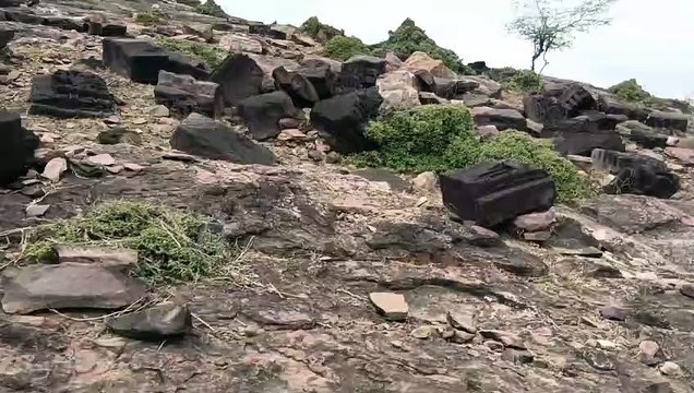 Many ancient artistic sculptures are scattered in Jhalawar forest