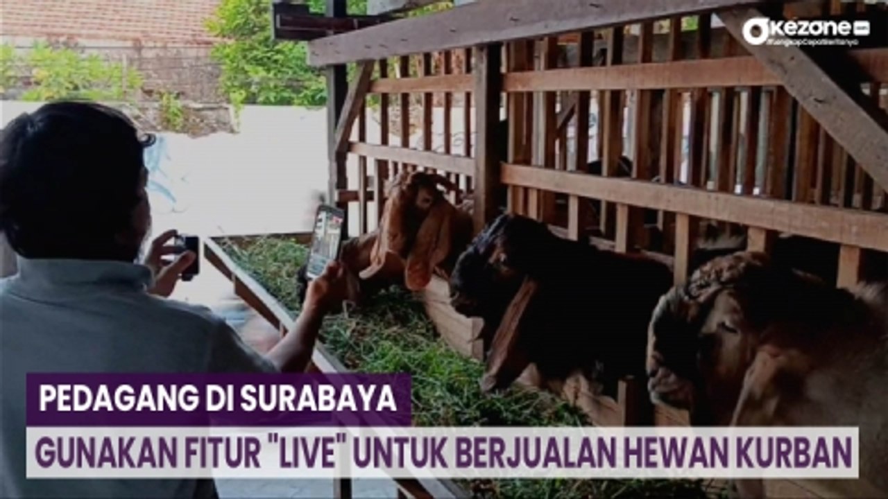 Pedagang di Surabaya Gunakan Fitur 'Live' untuk Berjualan Hewan Kurban