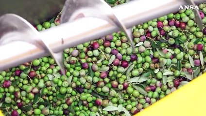 Al Sud oltre meta' dei nuovi occupati dopo il Covid