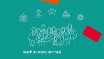RSPCA Animation: What to do when you find an animal that needs help