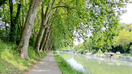 Asus Zenfone 10 : vidéo 4K à 30 i/s avec stabilisation adaptative