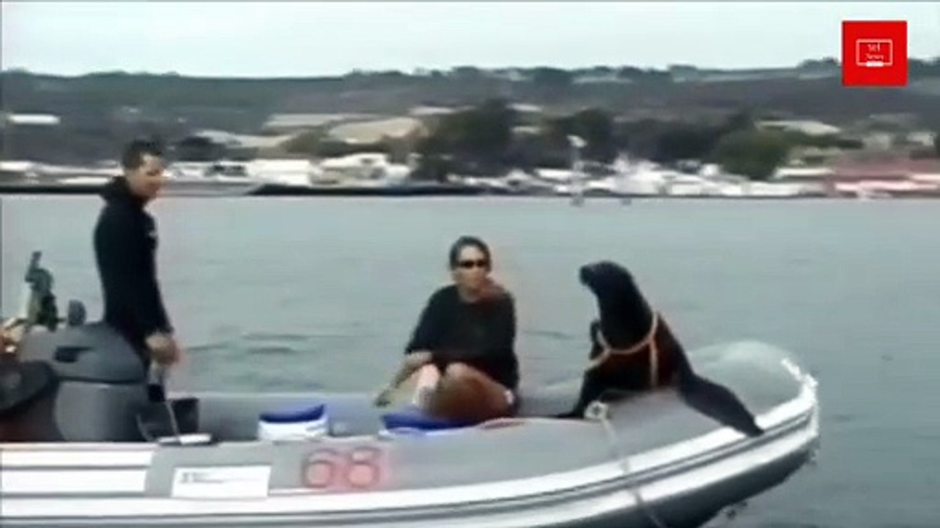 Russia Ukraine war latest news | Ukraine Russia war live