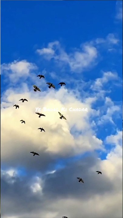 Falak Tak Chal Sath Mere  Status New WhatsApp status Status Shorts_1080p