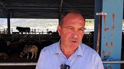 Les ventes de sacrifices sont faibles sur le marché des animaux