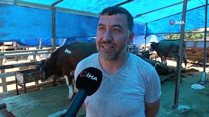 Les prix ont été réduits au coût une fois que les sacrifices sont disponibles : "Nous ne pouvons même pas vendre à perte"