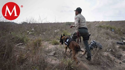 Binomio canino llamado "Bono" encontró una toma clandestina en Hidalgo