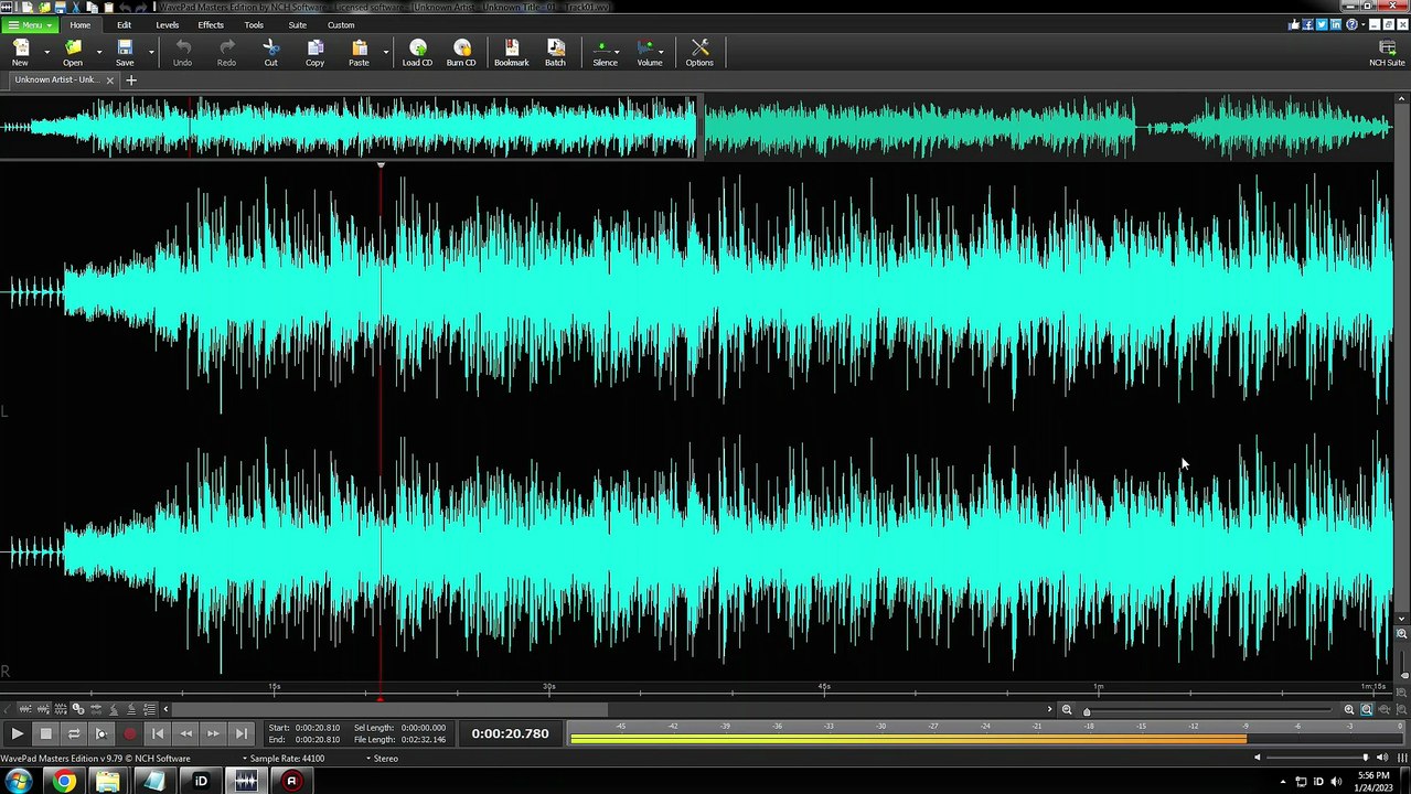 What Local Indie Ska Music Sounded Like in the 1990s