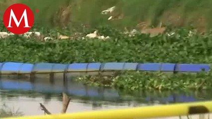 Hallan cuerpo al interior de un canal en Tlaquepaque, Jalisco
