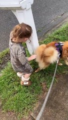 Girl Pretends To Pee On Mailbox After Dog