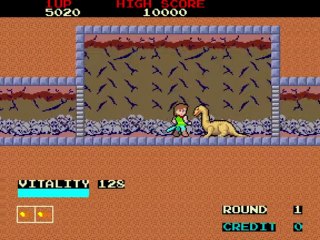 MAME (Dragon Buster) Namco 1984