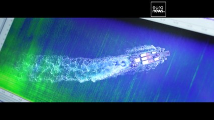 'Without sound, there would be no life in the ocean', says marine scientist