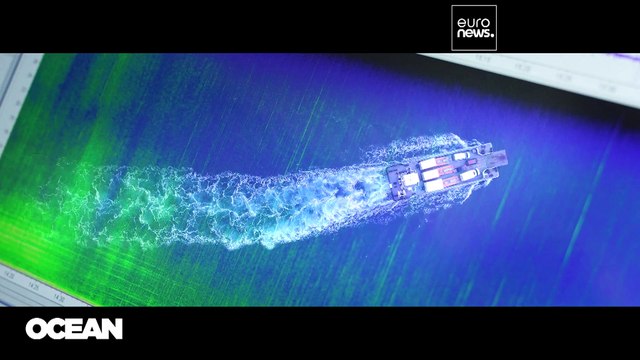 Рыбы кричат о помощи: они устали от постоянного шума