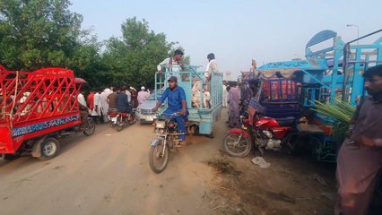 KITNA KA LIYA QURBANI KA JANWER | FAISALABAD BAKRA MANDI UPDATE | BAKRA MANDI 2023 | MANDI VLOGS