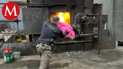 FGR asegura y destruye más de 700 mil pastillas de fentanilo en Sinaloa
