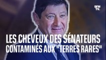 Les cheveux des sénateurs contaminés aux 