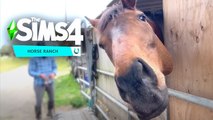 Behind The Sims: HORSES!! COMMUNITY KIT WINNERS?! & PROJECT RENE!
