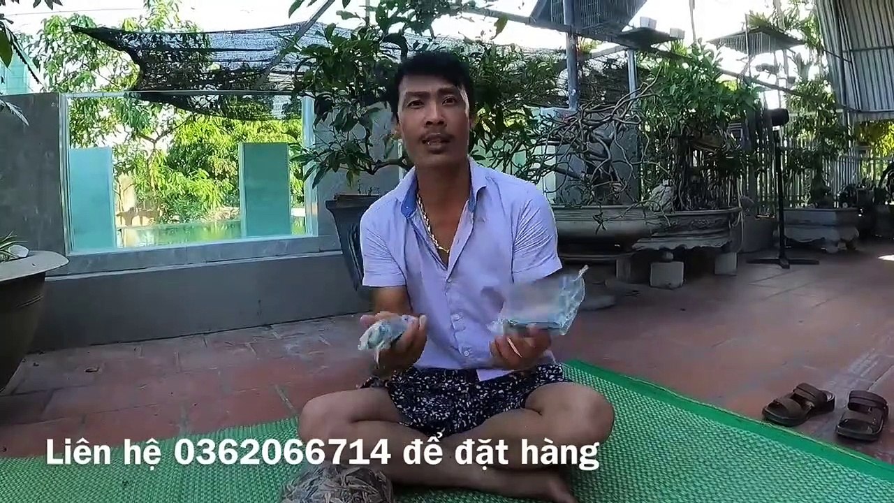 Terrified Discovering the Lair of a Thousand Venomous Snakes _ 1000 Venomous Snakes