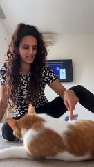 Roger Gets Mad When Grooming Is Finished