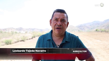 Esperar el cambio de maíz por agave, es alguna de la condición que viven en Tamazula de Gordiano