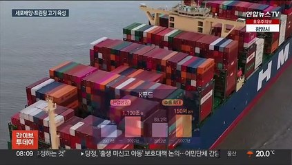 K-푸드 세계로…한해 150억 달러 수출 목표