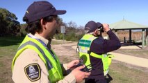 Oil spill killing birds across Perth’s southern waterways