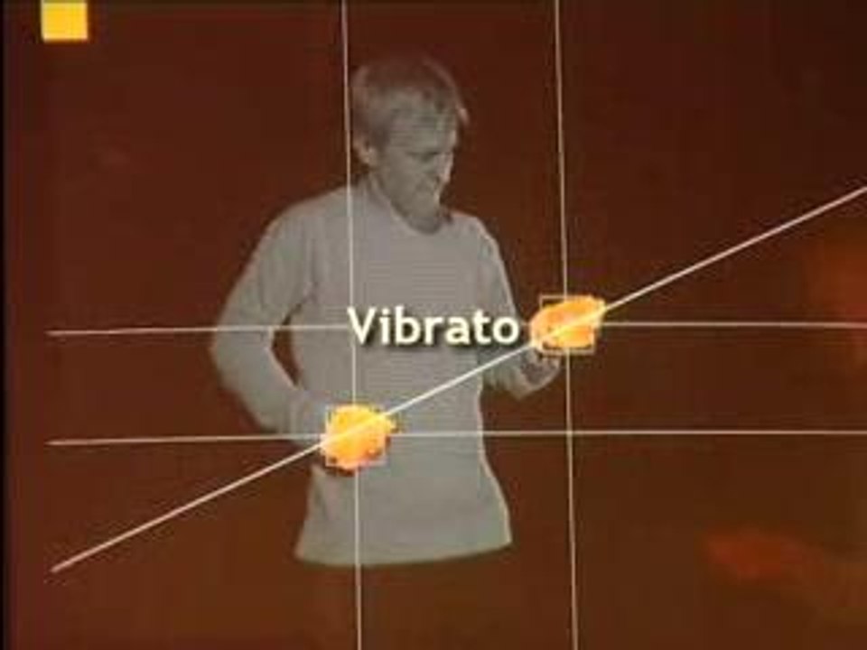 VAGintro9net
