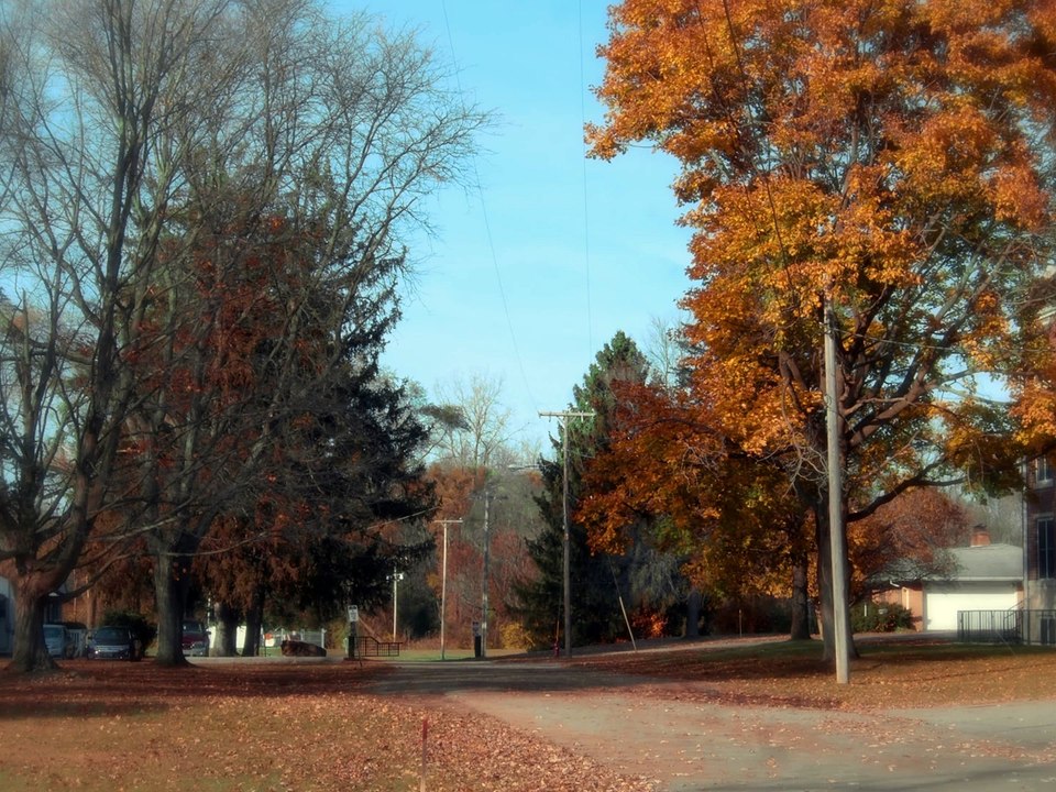 The Neverending Thought | movie | 2022 | Official Clip