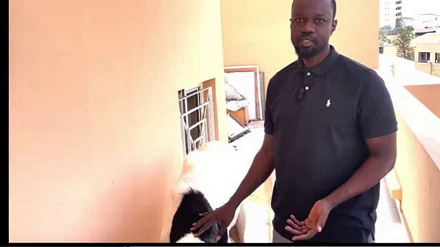 Tabaski : Serigne Cheikh Saliou Mbacké offre un bélier à Ousmane Sonko