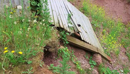 Rip Off Britain S14E15 (7 Oct 2022)