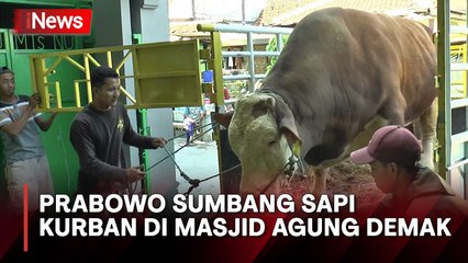 Prabowo Subianto Sumbang Sapi Kurban Seberat 1,1 Ton di Masjid Agung Demak