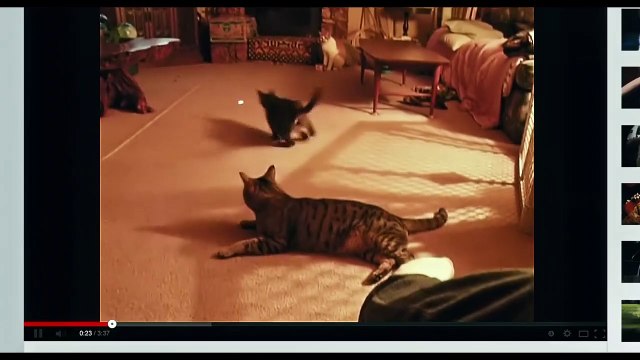 La Nuit au musée : Le Secret des pharaons Bande-annonce (FR)