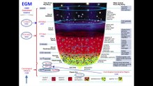 [FULL-CERN] The History of The Cosmos
