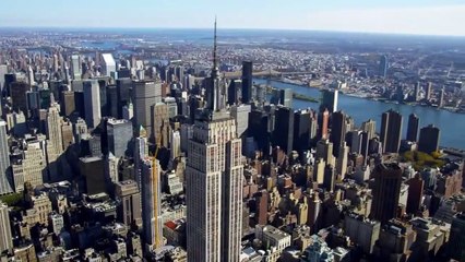 Doctor Bello Bande-annonce (EN)