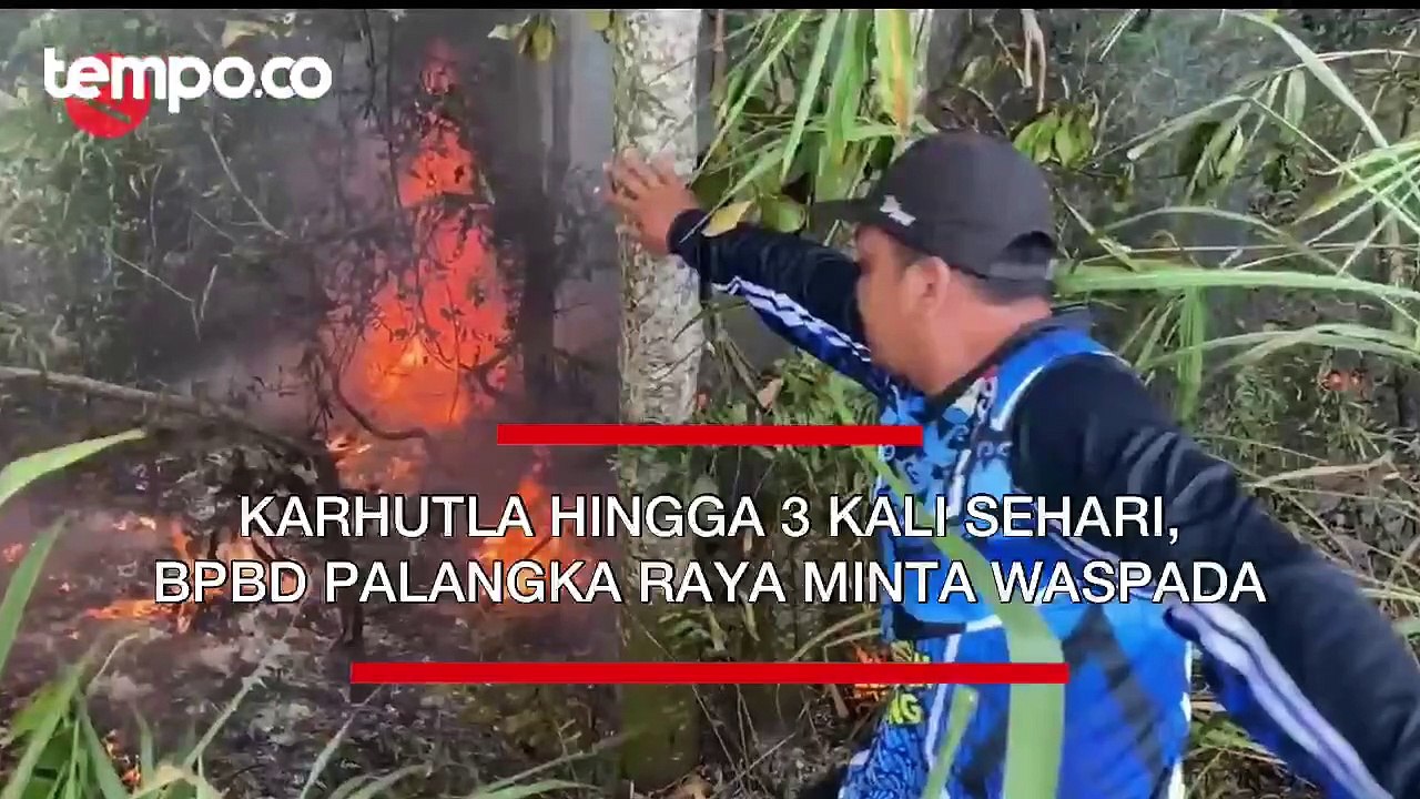 Karhutla Hingga 3 Kali Sehari, BPBD Palangka Raya Minta Warga Waspada