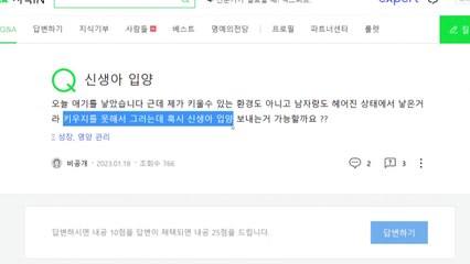 "신생아 불법 거래 성행"...'사라진 아기들' 전수조사 / YTN