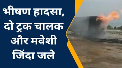 जयपुर : तीन ट्रकों में हुई भिड़ंत, दो चालक और मवेशी जिंदा जले, देखें विडियो
